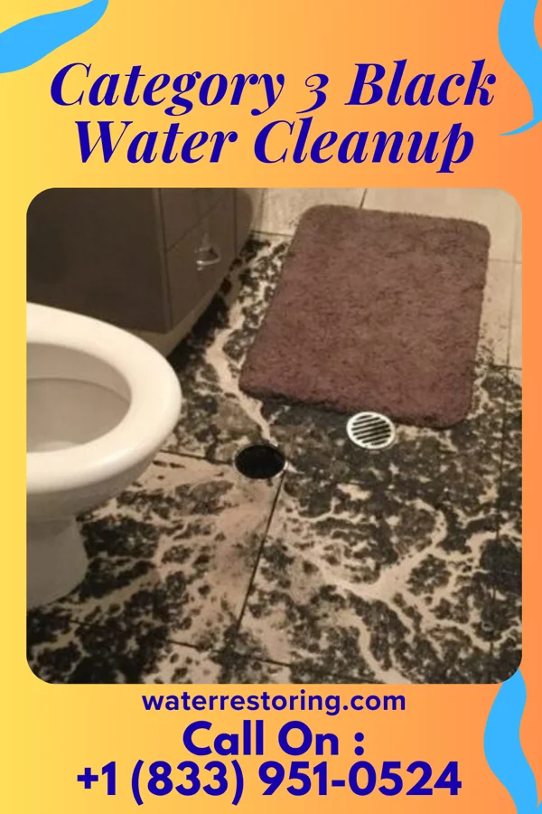 Category 3 Black Water Cleanup in Holcomb, MO