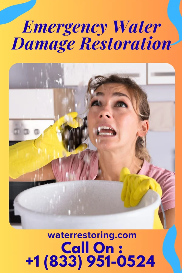 Emergency Water Damage Restoration in Holcomb, MO