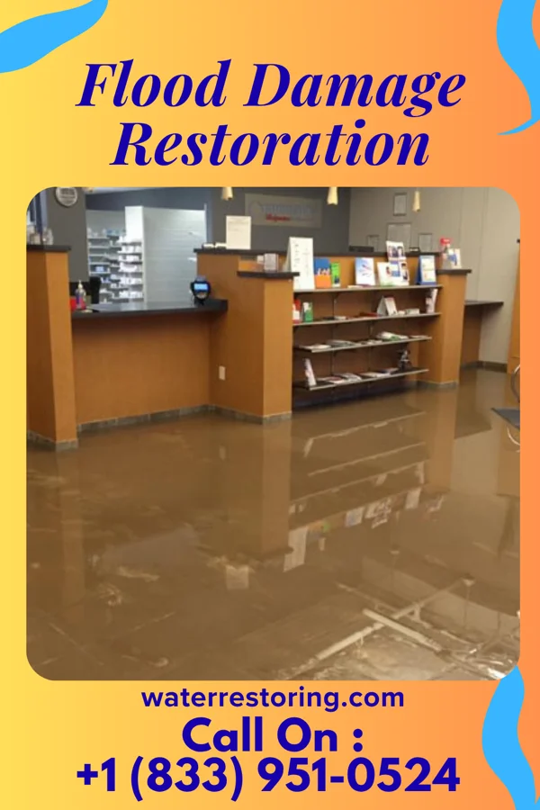 Flood Damage Restoration in Holcomb, MO